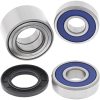 Hjullagerkit Standard ALL BALLS Svart – miniatyr 2