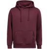 Hoodie Regular Fit Plommon Untagged Movement – miniatyr 1