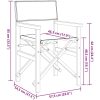 Hopfällbar regissörsstol blå massiv teak vidaXL – miniatyr 8