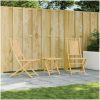 Hopfällbara trädgårdsstolar 2 st 46x66x99 cm bambu vidaXL – miniatyr 1