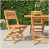 Hopfällbara trädgårdsstolar 2 st 47x62x90 cm massiv teak vidaXL – miniatyr 1