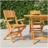 Hopfällbara trädgårdsstolar 2 st 55x61x90 cm massiv teak vidaXL – miniatyr 1