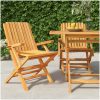 Hopfällbara trädgårdsstolar 2 st 61x67x90 cm massiv teak vidaXL – miniatyr 1
