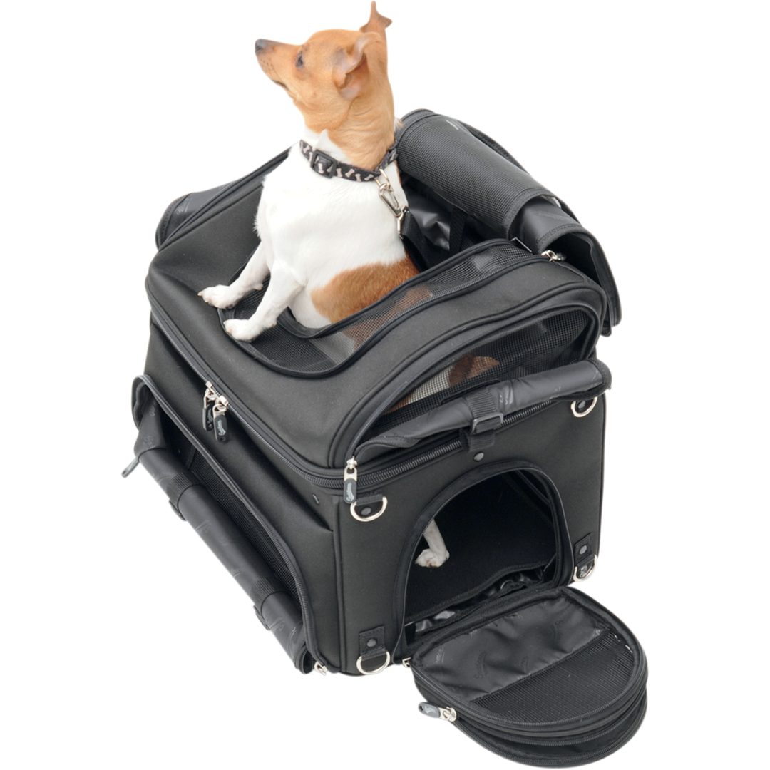 Hundväska Pet Voyager Svart Saddlemen PC3200C – bild 12