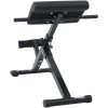 Hyperextensionbänk 120 kg Hopfällbar och Justerbar Stål vidaXL Standard – miniatyr 3
