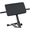 Hyperextensionbänk 120 kg Hopfällbar och Justerbar Stål vidaXL Standard – miniatyr 6