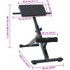 Hyperextensionbänk 120 kg Hopfällbar och Justerbar Stål vidaXL Standard – miniatyr 9