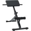 Hyperextensionbänk 120 kg Hopfällbar och Justerbar Stål vidaXL Standard – miniatyr 1