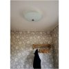 Iglo Plafond 42cm, Vit/stål ANETA HOME Sockel E14 Vit /Stål – miniatyr 3