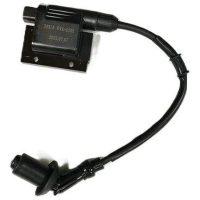 IGN. COIL. ASSY