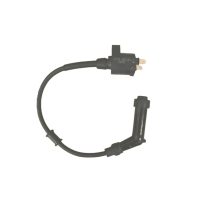 IGNITION COIL ASSY