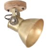 Industriell vägglampa/taklampa 2 st mässing 20x25 cm E27 vidaXL – miniatyr 3