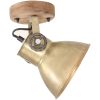 Industriell vägglampa/taklampa 2 st mässing 20x25 cm E27 vidaXL – miniatyr 4