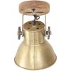 Industriell vägglampa/taklampa 2 st mässing 20x25 cm E27 vidaXL – miniatyr 5