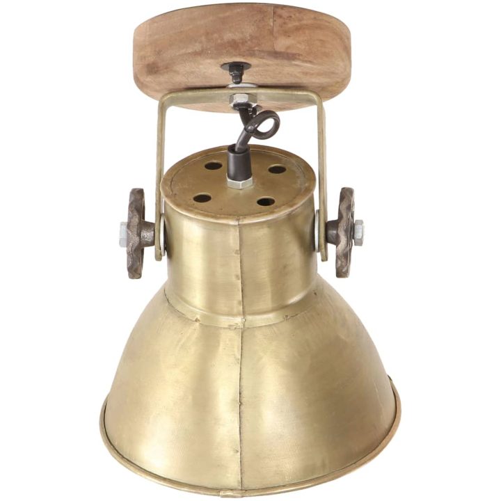 Industriell vägglampa/taklampa 2 st mässing 20x25 cm E27 vidaXL – bild 5