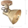 Industriell vägglampa/taklampa 2 st mässing 20x25 cm E27 vidaXL – miniatyr 9
