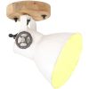 Industriell vägglampa/taklampa 2 st vit 20x25 cm E27 vidaXL – miniatyr 2
