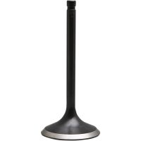 Insugsventil Black Diamond KIBBLEWHITE