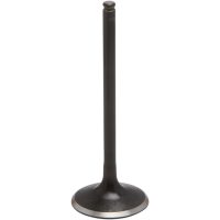 Insugsventil Black Diamond KIBBLEWHITE
