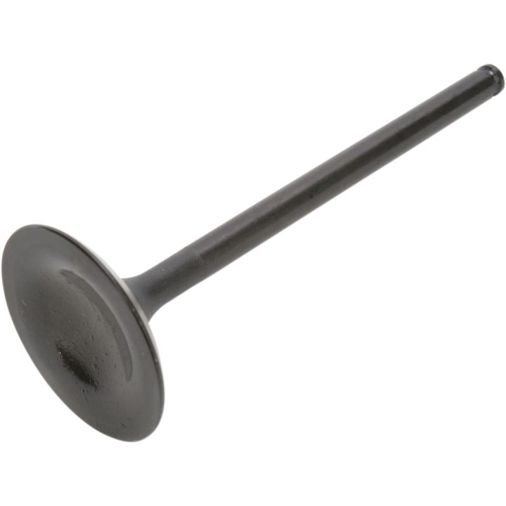 Insugsventil Black Diamond KIBBLEWHITE Stål – bild 2