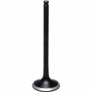 Insugsventil Black Diamond KIBBLEWHITE