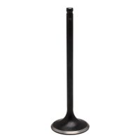 Insugsventil Black Diamond KIBBLEWHITE