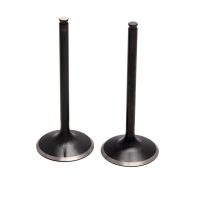 Insugsventil Black Diamond KIBBLEWHITE