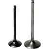 Insugsventil Intake VERTEX Silver – miniatyr 1