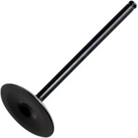 Insugsventil Standard HOT CAMS
