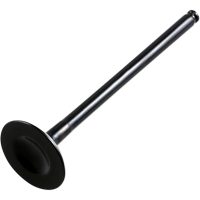 Insugsventil Standard HOT CAMS