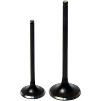 Insugsventil Standard HOT CAMS