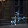 Juldekoration renfamilj akryl 160 LED kallvit vidaXL – miniatyr 3