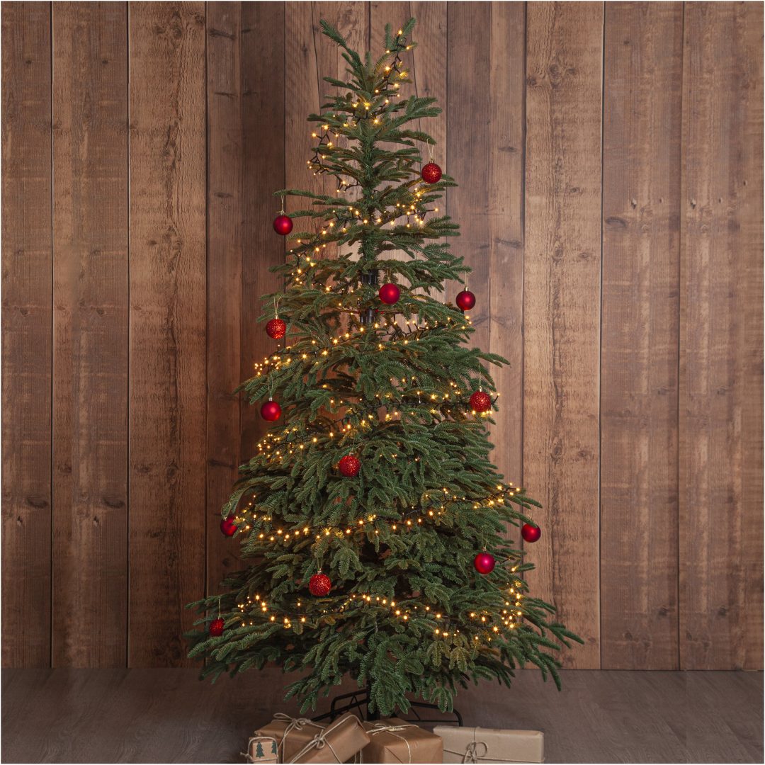 Julgran Edane STAR TRADING – bild 3