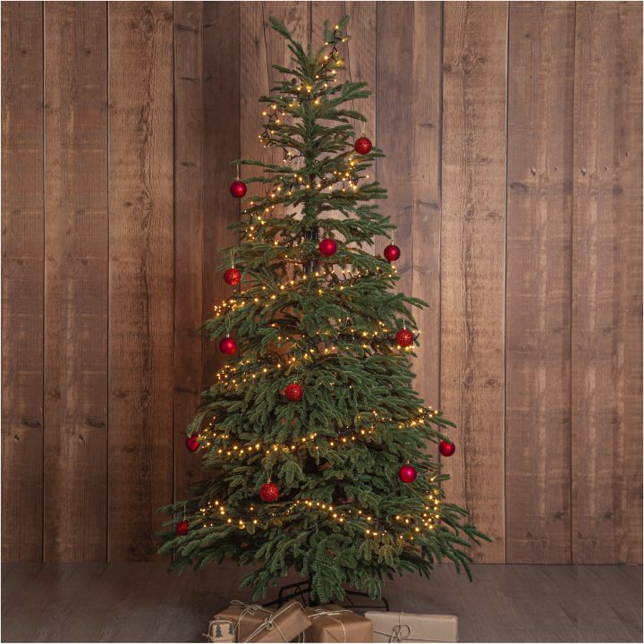 Julgran Edane STAR TRADING – bild 3