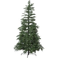 Julgran Edane STAR TRADING
