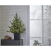 Julgran med LED Greyland STAR TRADING – miniatyr 11
