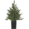 Julgran med LED Greyland STAR TRADING – miniatyr 12