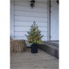 Julgran med LED Greyland STAR TRADING – miniatyr 14
