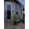 Julgran med LED Greyland STAR TRADING – miniatyr 15
