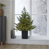 Julgran med LED Greyland STAR TRADING – miniatyr 3