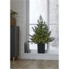 Julgran med LED Greyland STAR TRADING – miniatyr 4