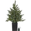 Julgran med LED Greyland STAR TRADING – miniatyr 1