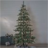 Julgran Royal Blue Grön Star Trading 225 cm – miniatyr 4