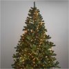 Julgransbelysning Golden Warm White Grön Star Trading – miniatyr 8