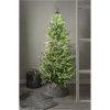 Julgransbelysning Smart Tree Light Chain STAR TRADING – miniatyr 7