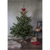 Julgransfot Granig Mullvad Star Trading – miniatyr 2
