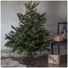 Julgransfot Granig Svart Star Trading Lyx – miniatyr 1