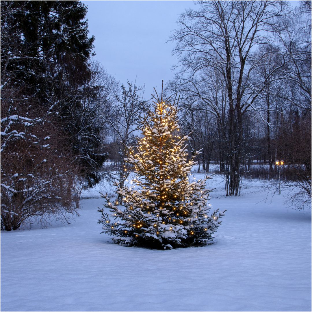Julgransslinga Shiny WarmWhite STAR TRADING – bild 3