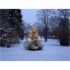 Julgransslinga Shiny WarmWhite STAR TRADING – miniatyr 4
