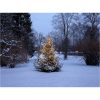 Julgransslinga Shiny WarmWhite STAR TRADING – miniatyr 6